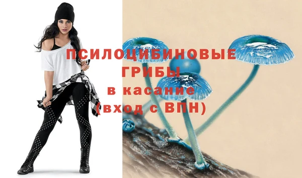 ГАЛЛЮЦИНОГЕННЫЕ ГРИБЫ Беломорск