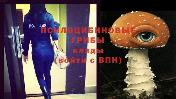 spice Белокуриха
