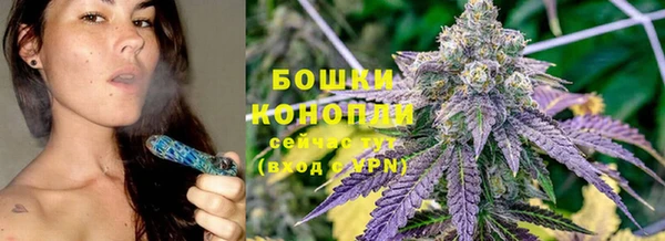 ГАЛЛЮЦИНОГЕННЫЕ ГРИБЫ Беломорск