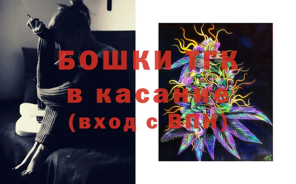 амф Белоозёрский
