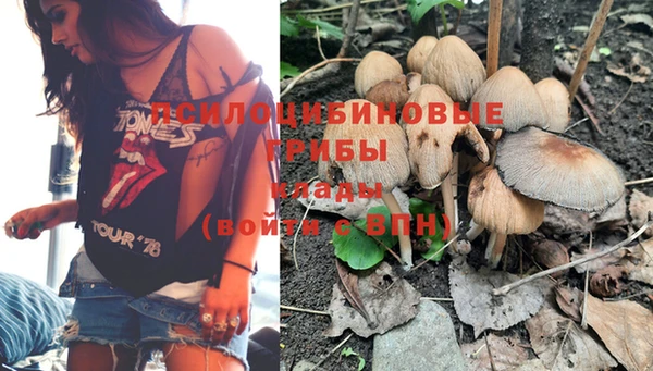 ГАЛЛЮЦИНОГЕННЫЕ ГРИБЫ Беломорск