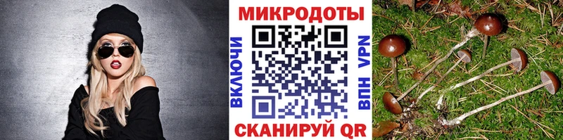 Галлюциногенные грибы MAGIC MUSHROOMS Белоусово